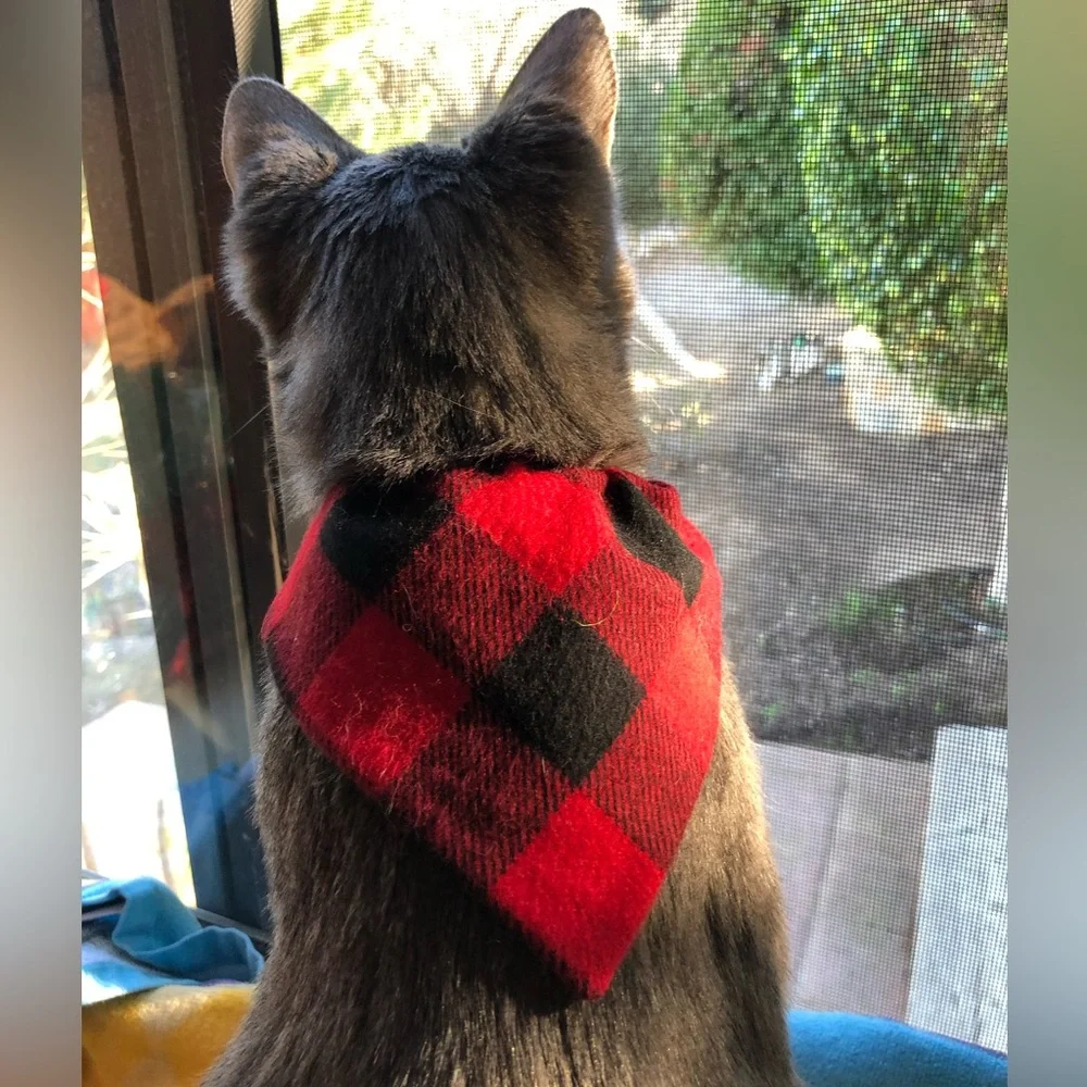 🟥⬛️CLASSIC BUFFALO PLAID CAT BANDANA🟥⬛️